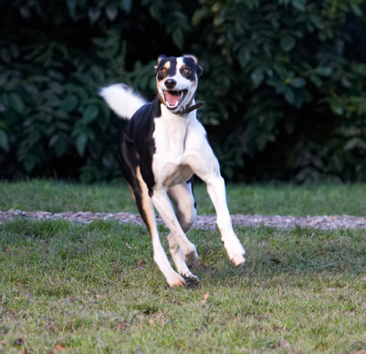 Hey, this is exciting