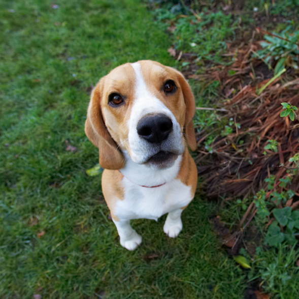 I'm waiting patiently