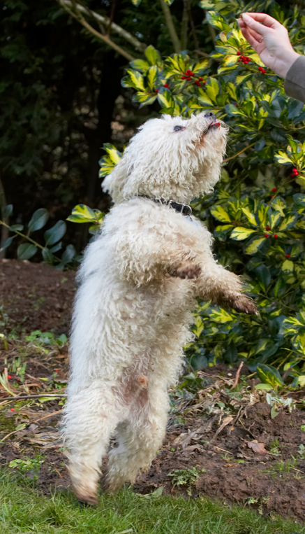 Oh, don't hold it that high