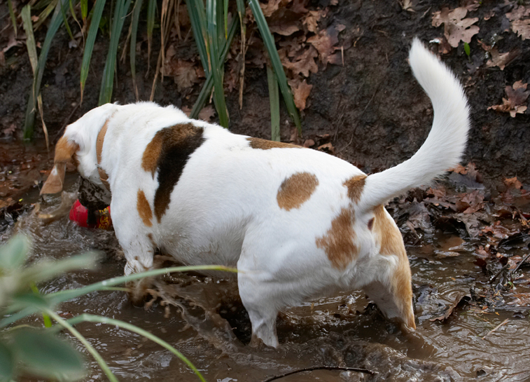 ........... yeah, I gottit