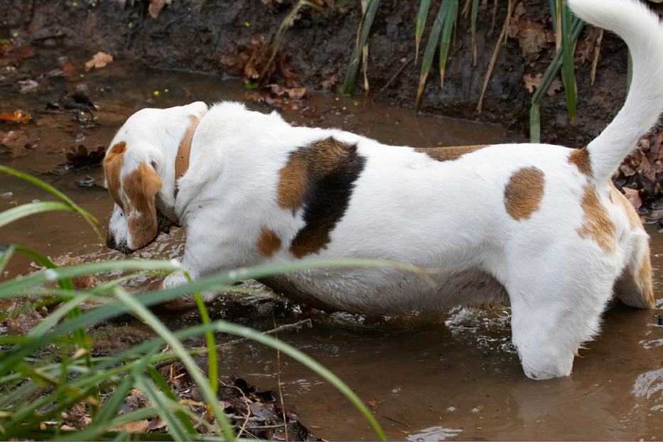 Uh oh, it keeps sinking