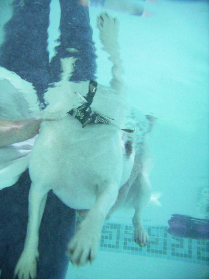 No wonder I can't get the hang of this - look how many legs I've got!!