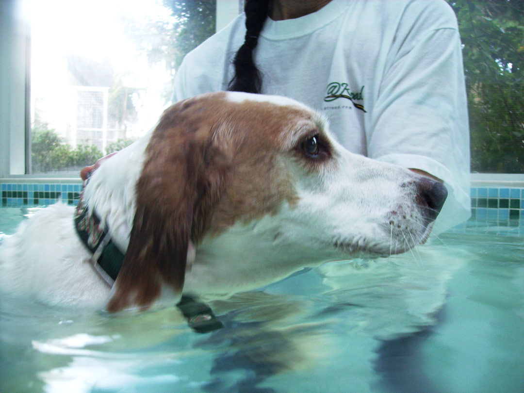 Look, I'm concentrating on staying afloat