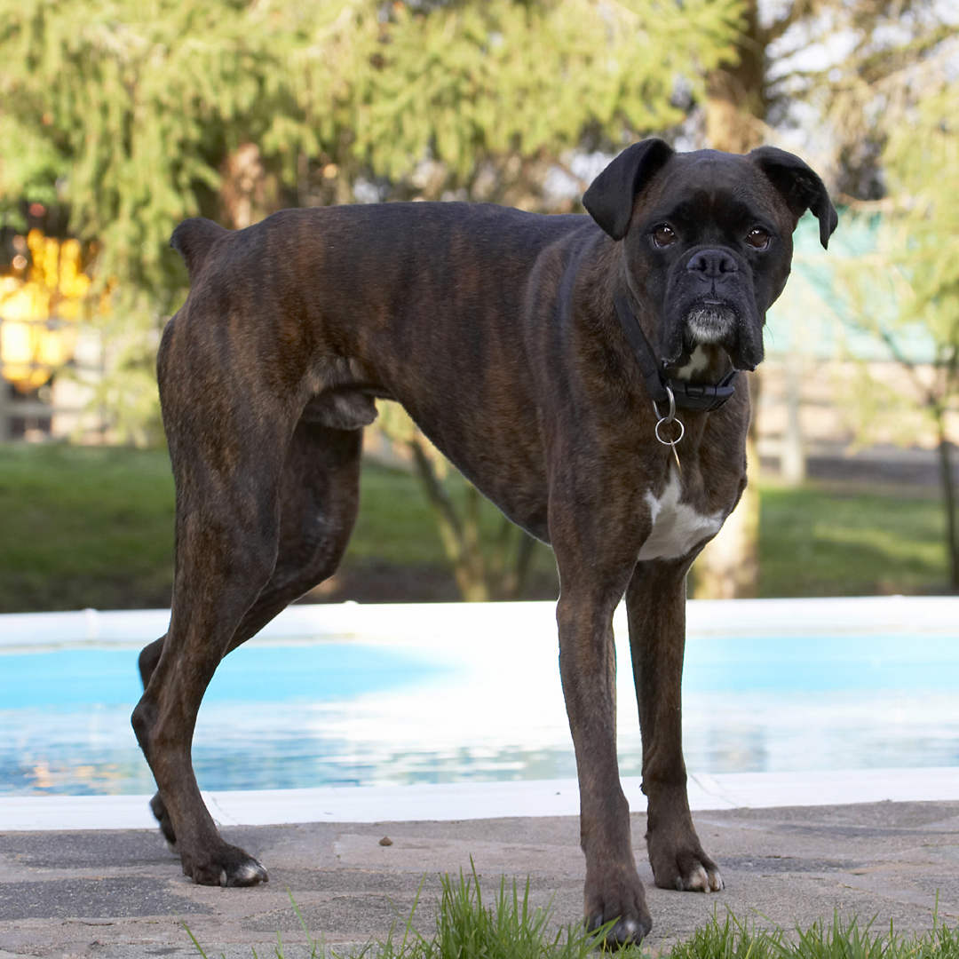 Am I going swimming??  You must be joking!!