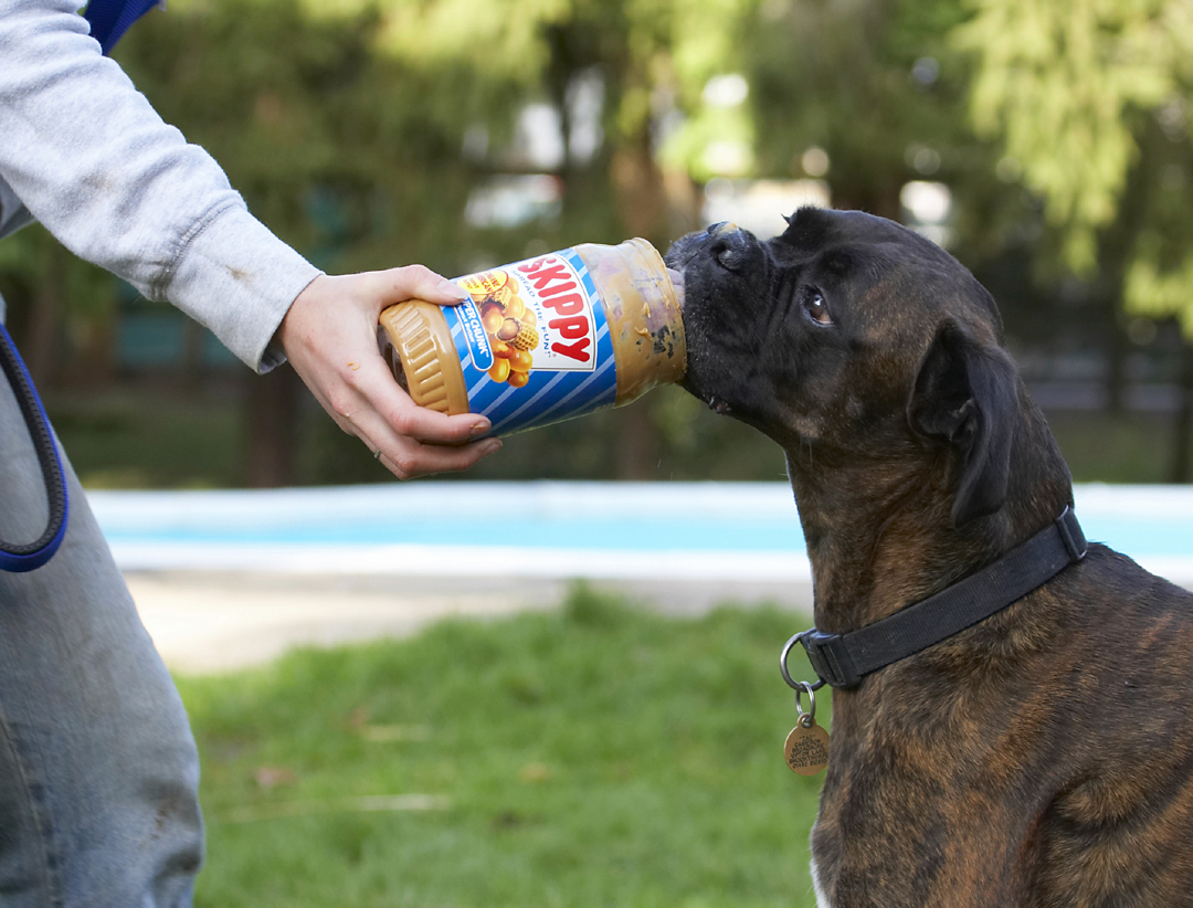 This is more like it