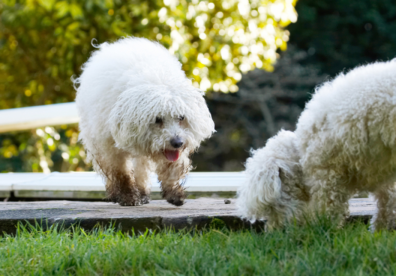 Hey, wot you got there