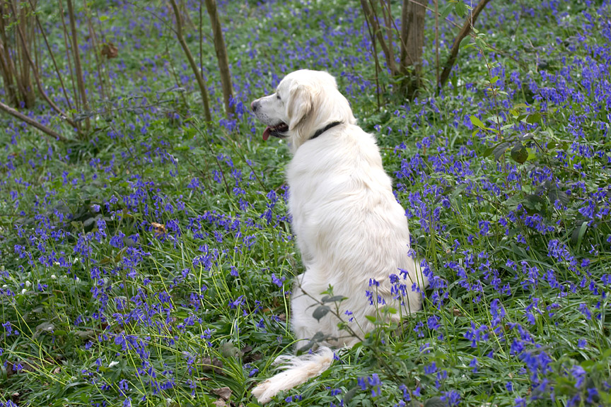 Quiet contemplation