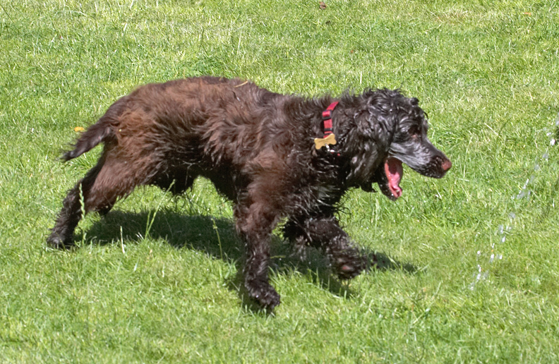 Put that water back on