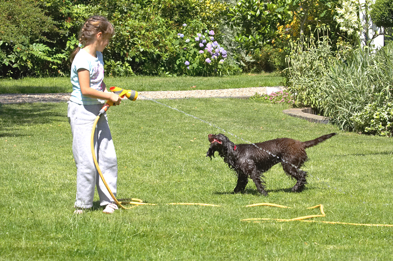 Team work