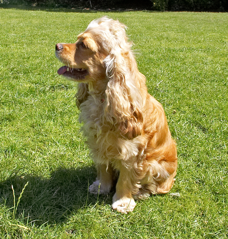 Surveying my kingdom