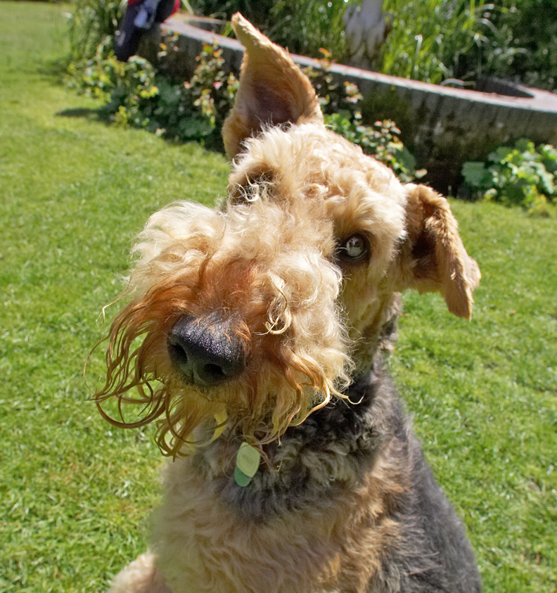 Don't I do cute really good!