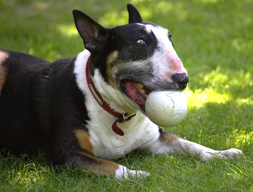 This ball is just about my size