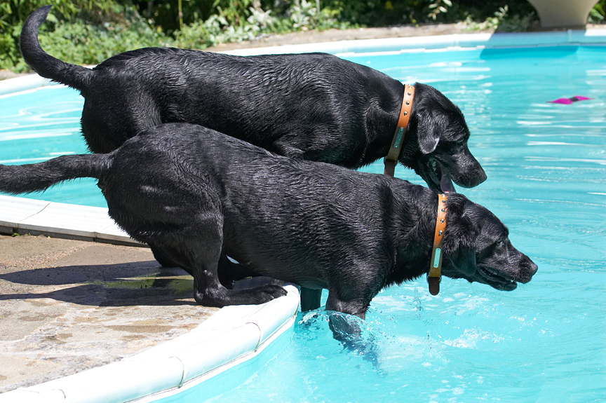 C'mon, we're a team, we can do it!