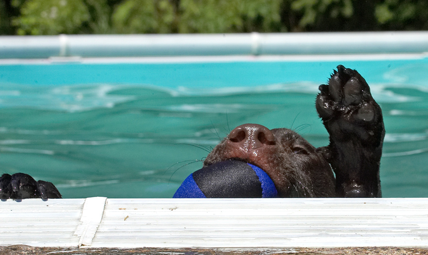 Hi Five