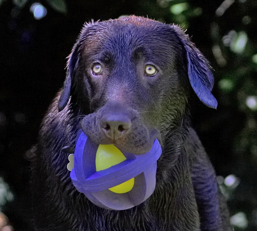 This is my favourite ball