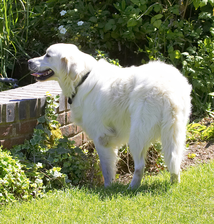 That water looks awfully inviting