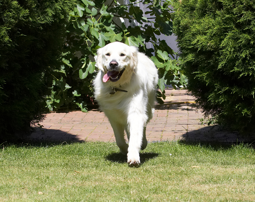 Here I come, what's happenin'?