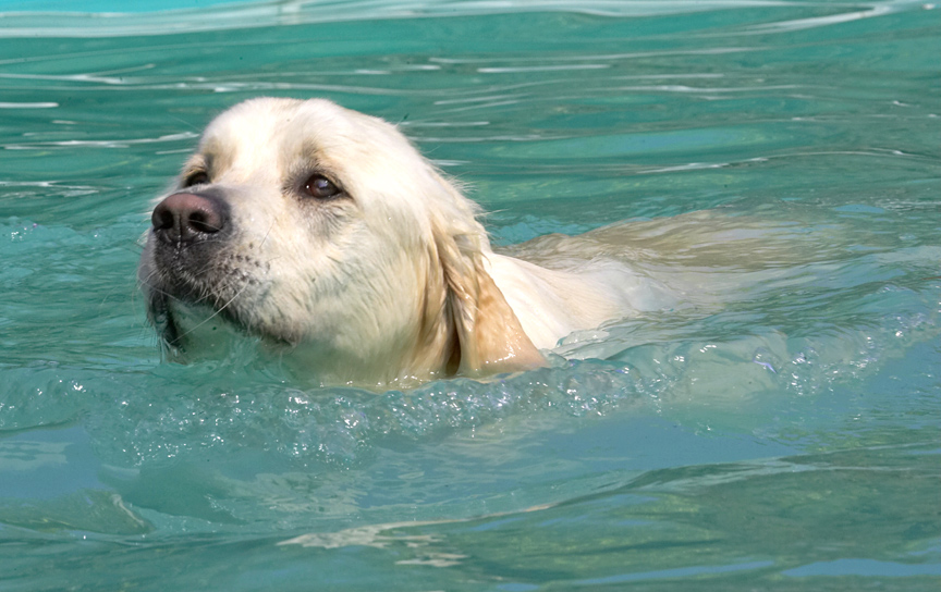Look, mum, I'm swimming all by myself