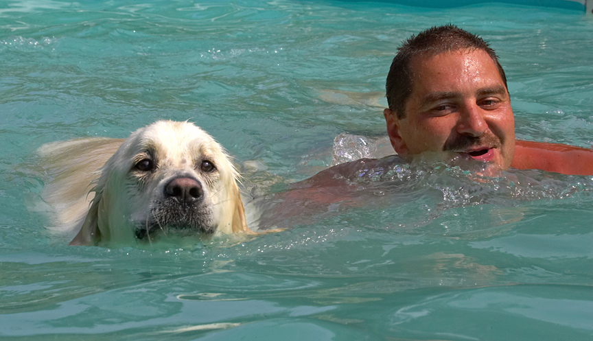 Hey, I'm concentrating on my doggie paddle