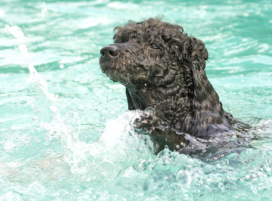 Did I make that splash?