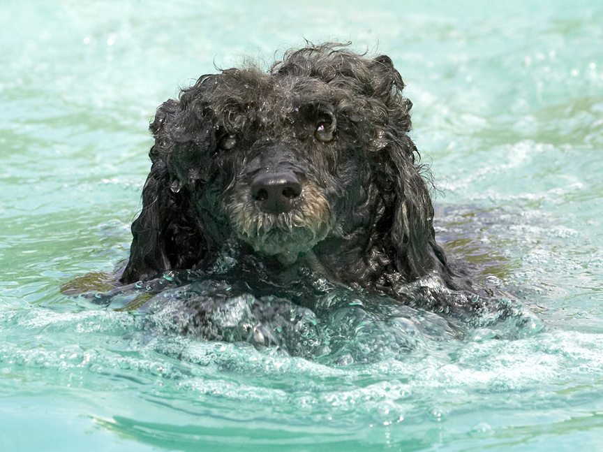 Hey, the bedraggled look is very in