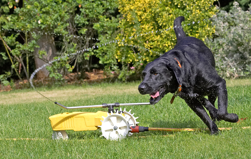 And I get to exercise as well