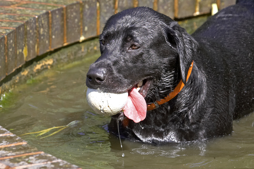 I prefer the bath to the shower