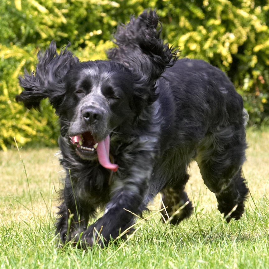 Gotta go this way now