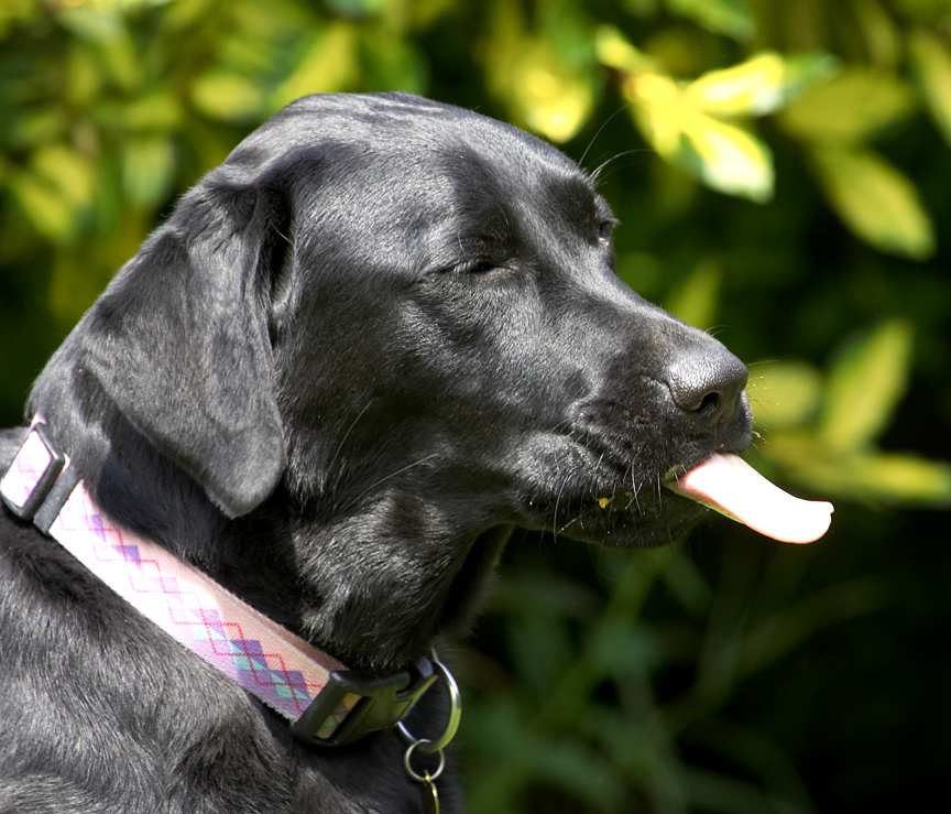I'm exercising my tongue
