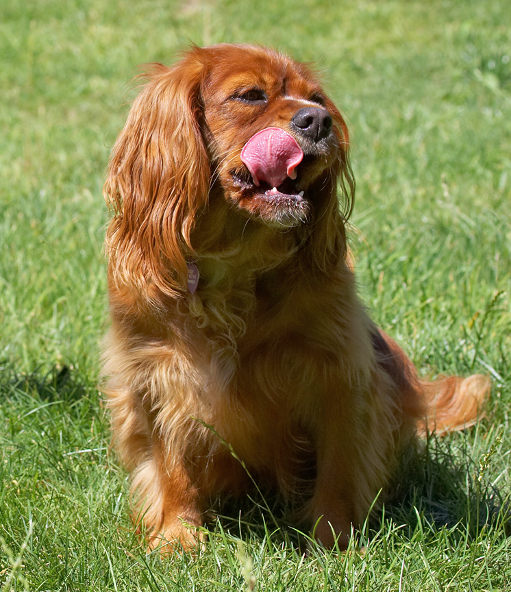 Mmmm, that was delicious