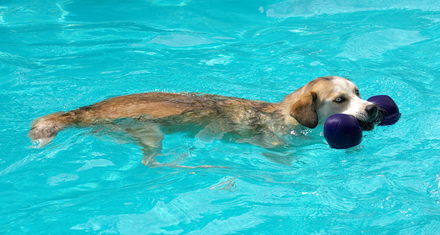 This is the only way to keep cool