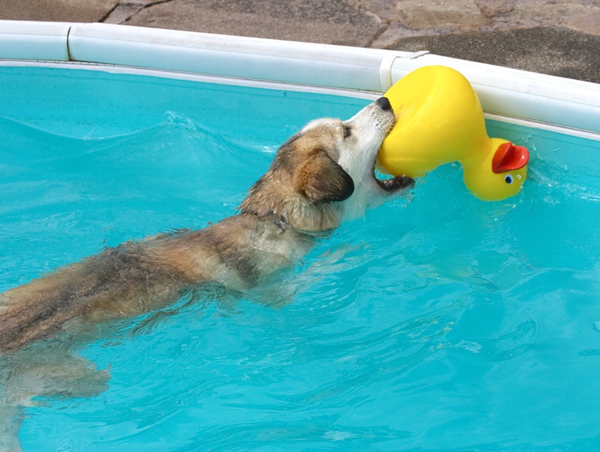 Just trying to get some leverage