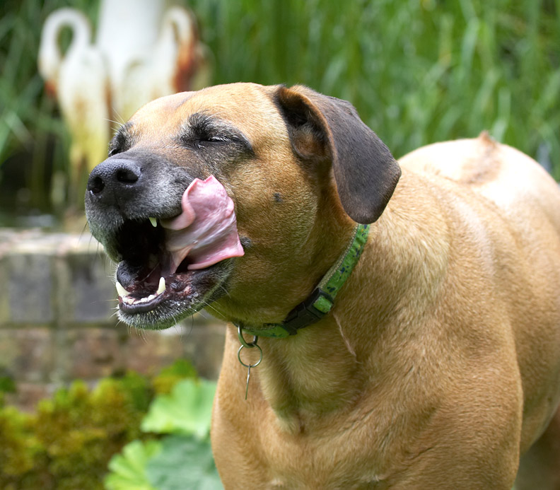 This is soooooo yummy