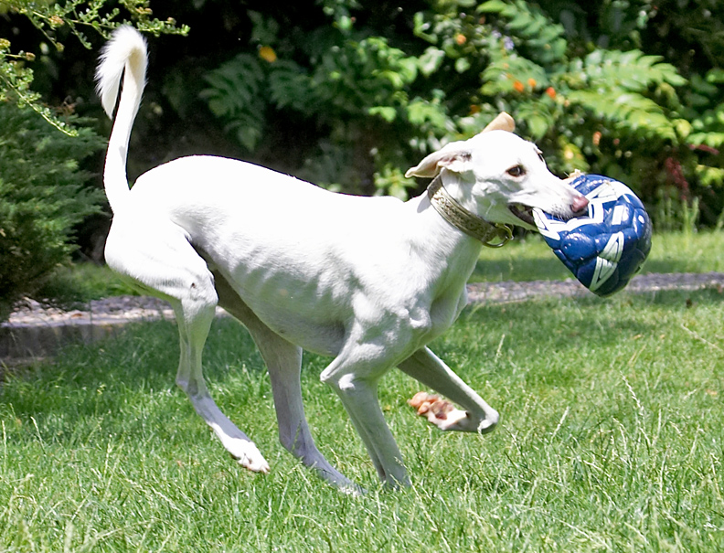 Poetry in motion