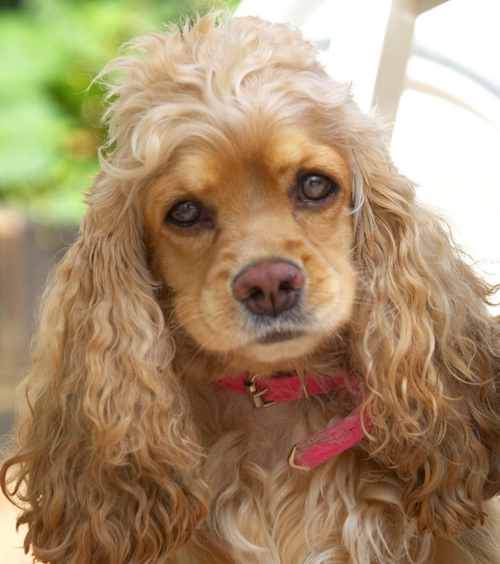 This is my cute look