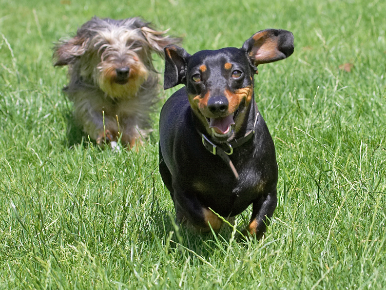I'm the leader of the gang!