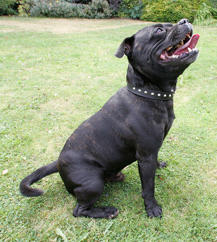 Lennox