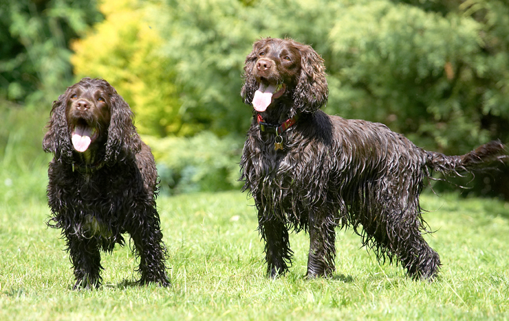 OK, we're paying attention