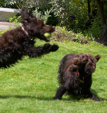 Wow, wot a catch