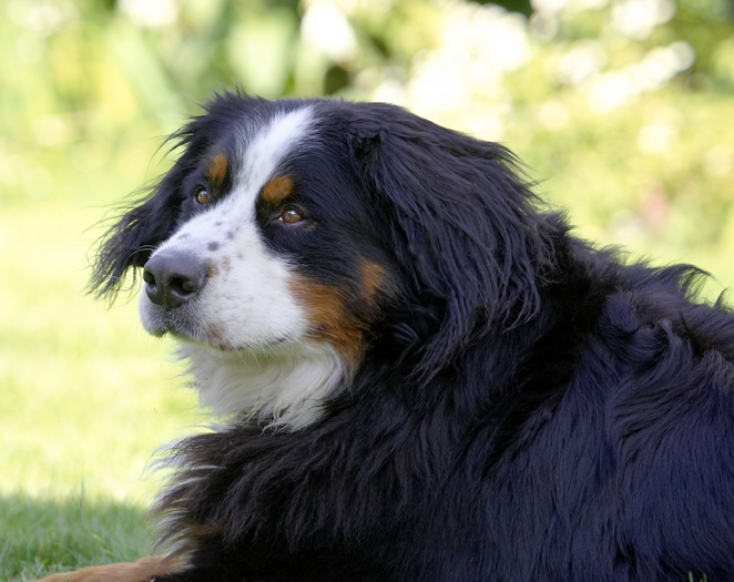 Contemplation