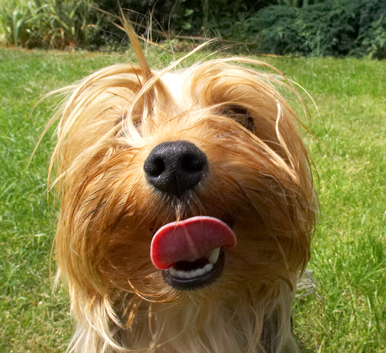 This is what I think of your camera!