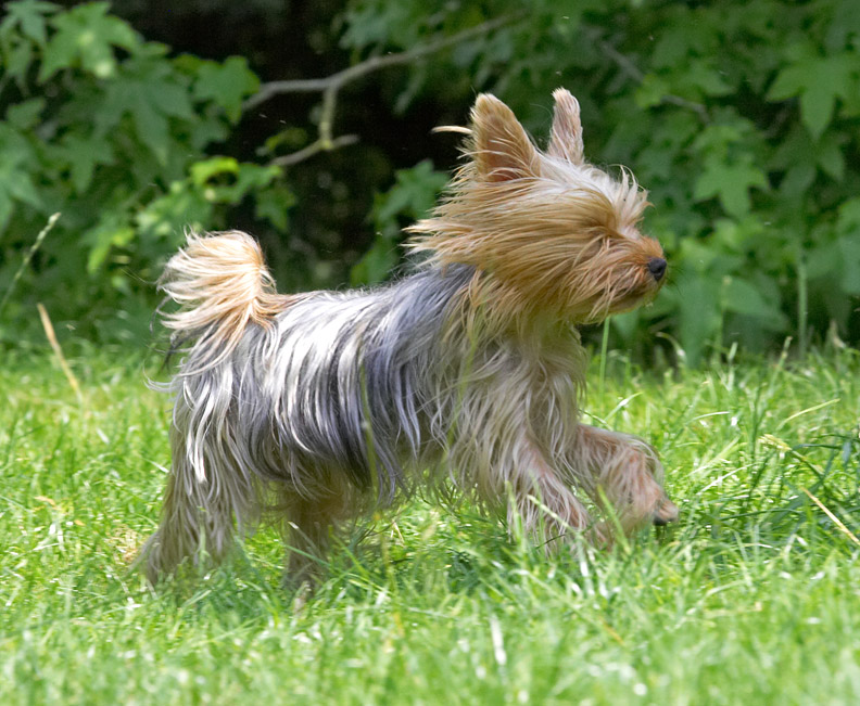 I love the wind in my hair