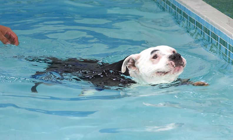 Look, I'm swimming all by myself