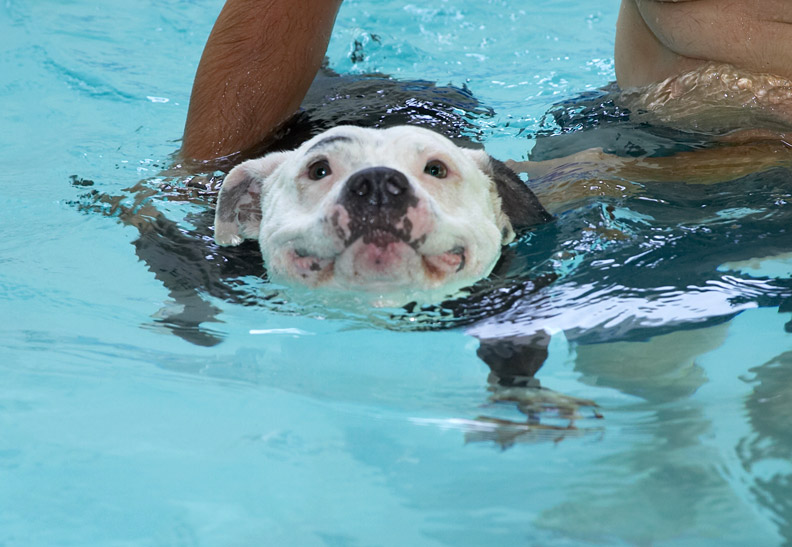 Sometimes a girl needs a little bit of help