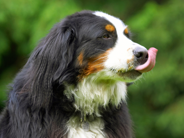 This is my kind of activity