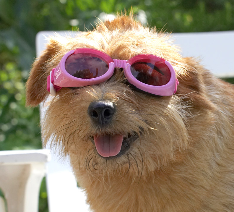 I know they're skewiff but aren't they rather fetching!