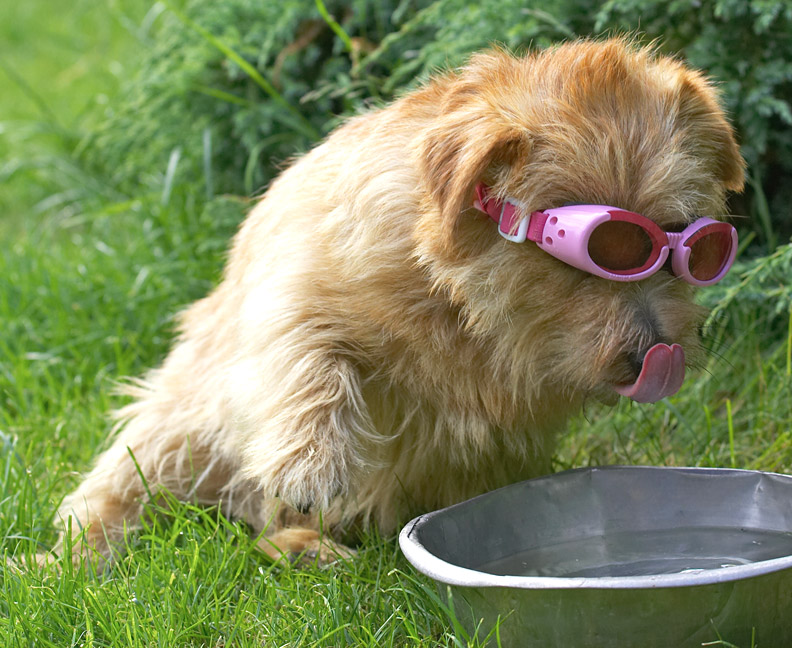 Wow, my tongue IS really pink!