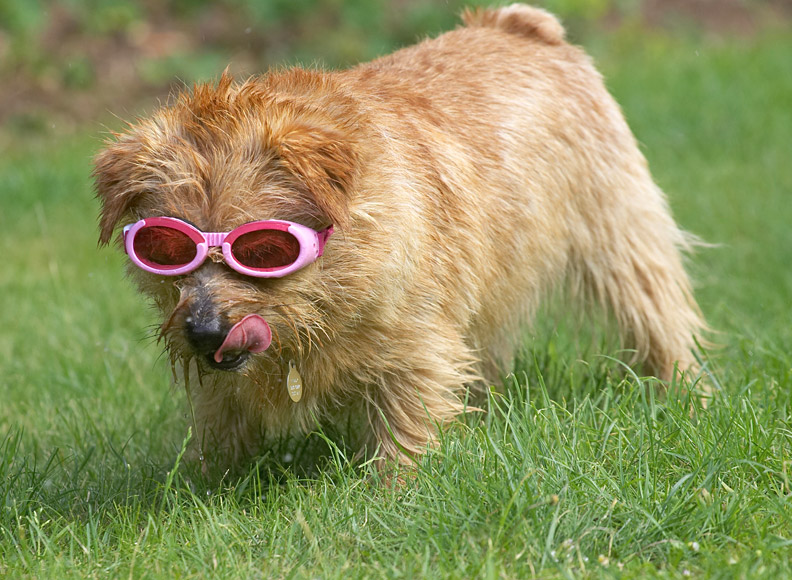 This water tastes good