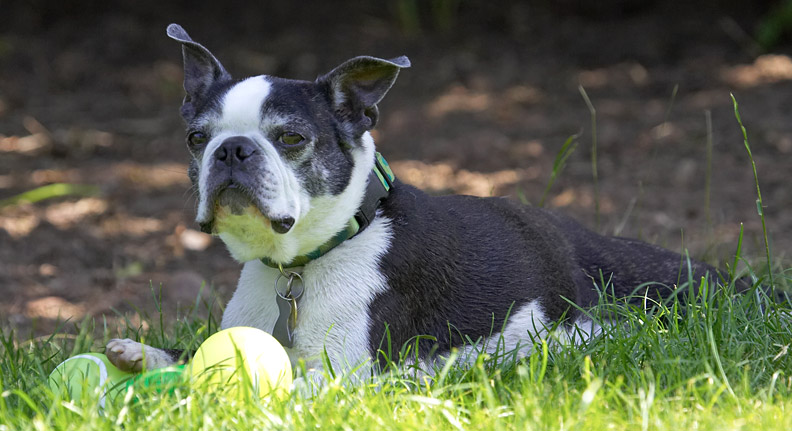 What me?  I haven't been doin' nuffin'