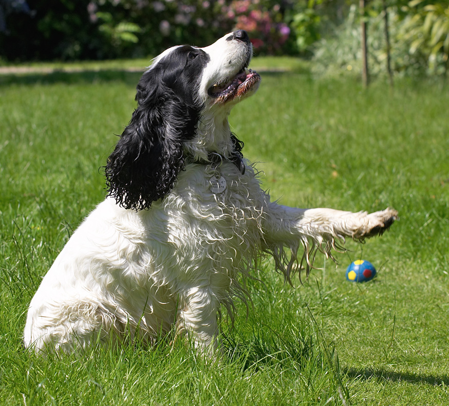 Oh, go on, just a little bit more